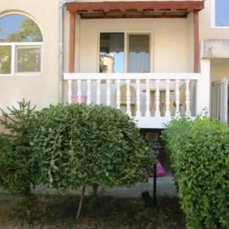 Your Lovely Summer In Sunny Apartment